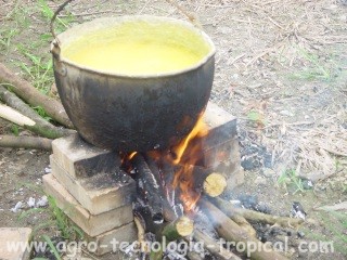 Caldo sulfocalcico preparación